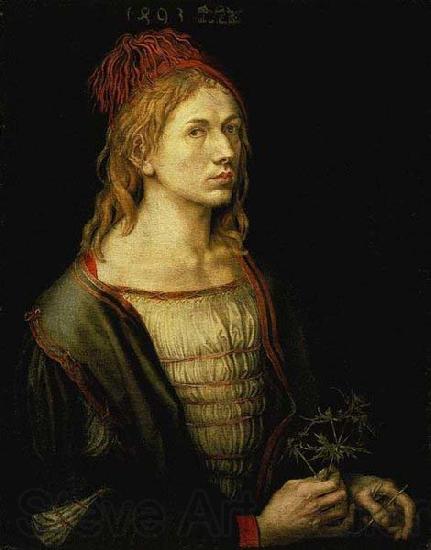 Albrecht Durer The earliest painted Self-Portrait (1493) by Albrecht Durer